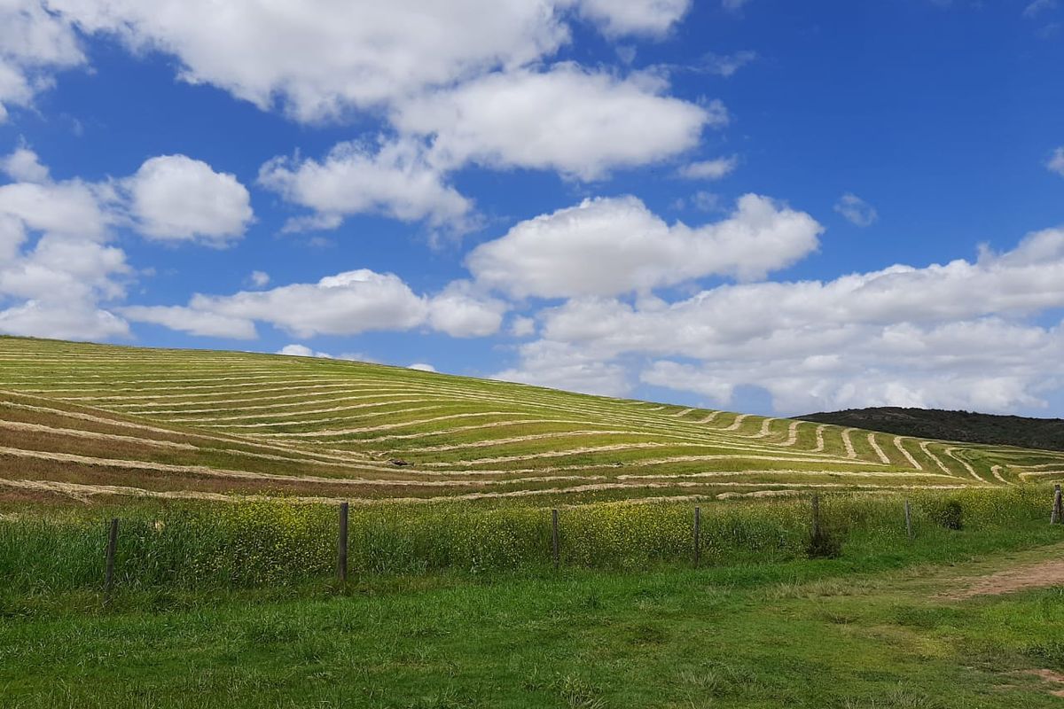 Farm For Sale in Riversdale Rural, Riversdale - Photo 5