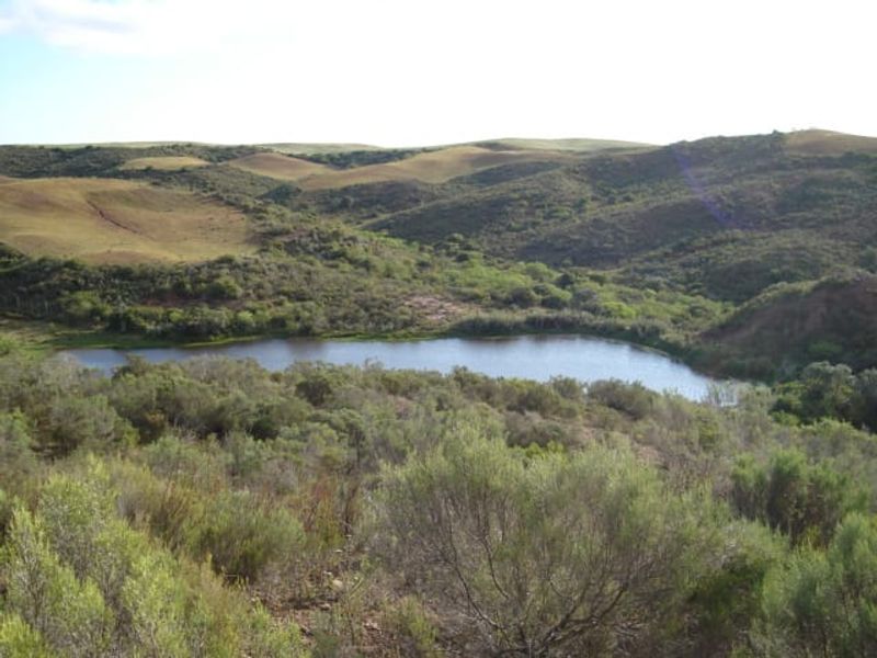 A scenic view of the farm landscape featuring rolling hills and a natural dam surrounded by indigenous vegetation.