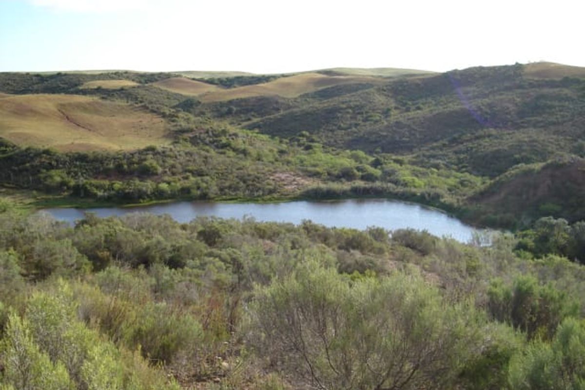 A scenic view of the farm landscape featuring rolling hills and a natural dam surrounded by indigenous vegetation.