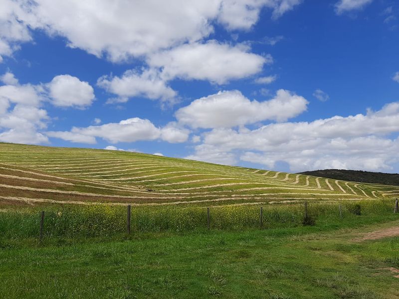 Expansive view of rolling farm hills with harvested crop rows under a bright blue sky.