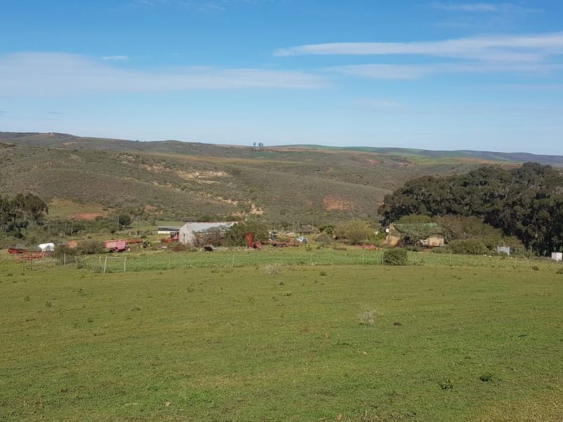 Expansive rural farm landscape featuring open grazing fields, mature tree lines, and distant farm outbuildings under a clear blue sky.