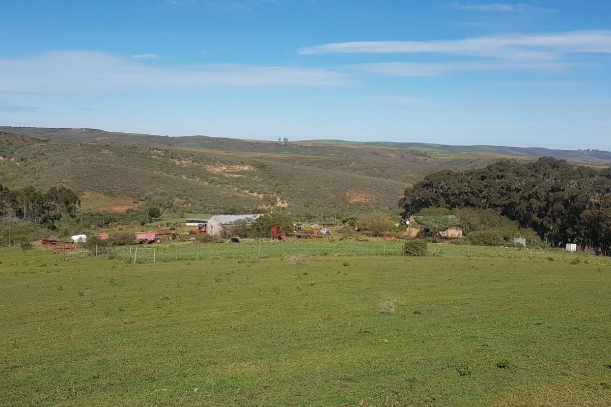 Expansive rural farm landscape featuring open grazing fields, mature tree lines, and distant farm outbuildings under a clear blue sky.