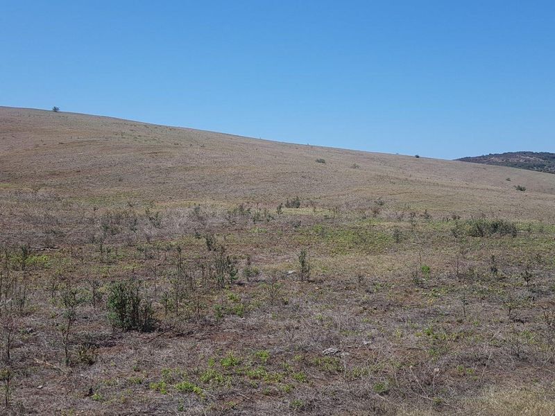 A wide-angle view of the expansive, undeveloped landscape on the farm property, featuring rolling hills and natural vegetation under a clear blue sky.