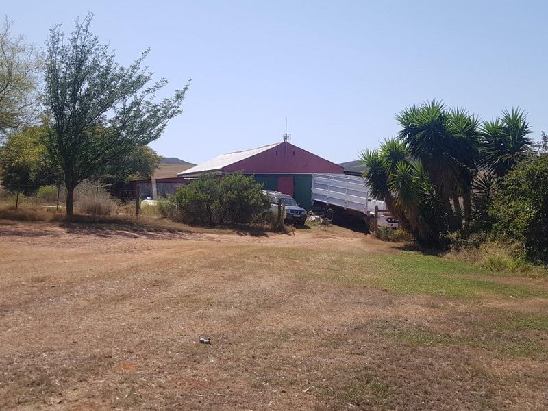 A view of a farm property featuring a large barn-style structure set within a rural landscape with established trees and open grounds.