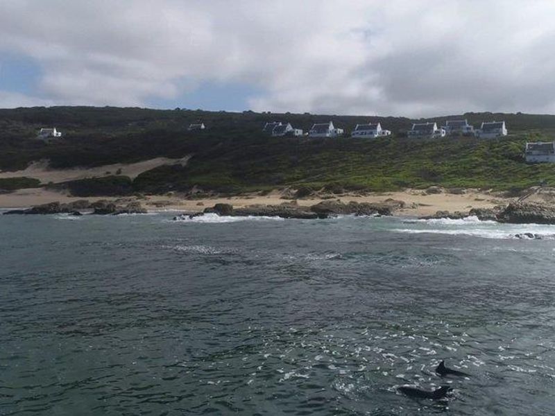 Farm For Sale in Stilbaai Rural, Stilbaai - Photo 2