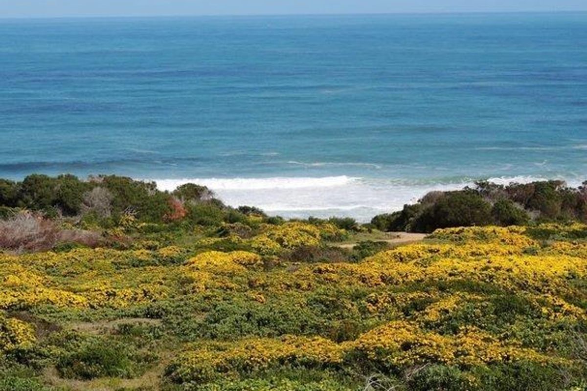 Farm For Sale in Stilbaai Rural, Stilbaai - Photo 5