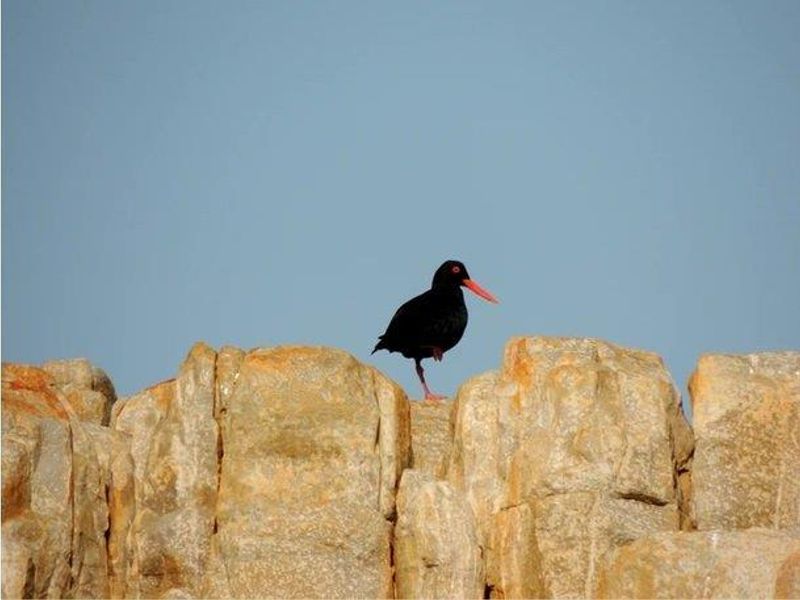 Farm For Sale in Stilbaai Rural, Stilbaai - Photo 6