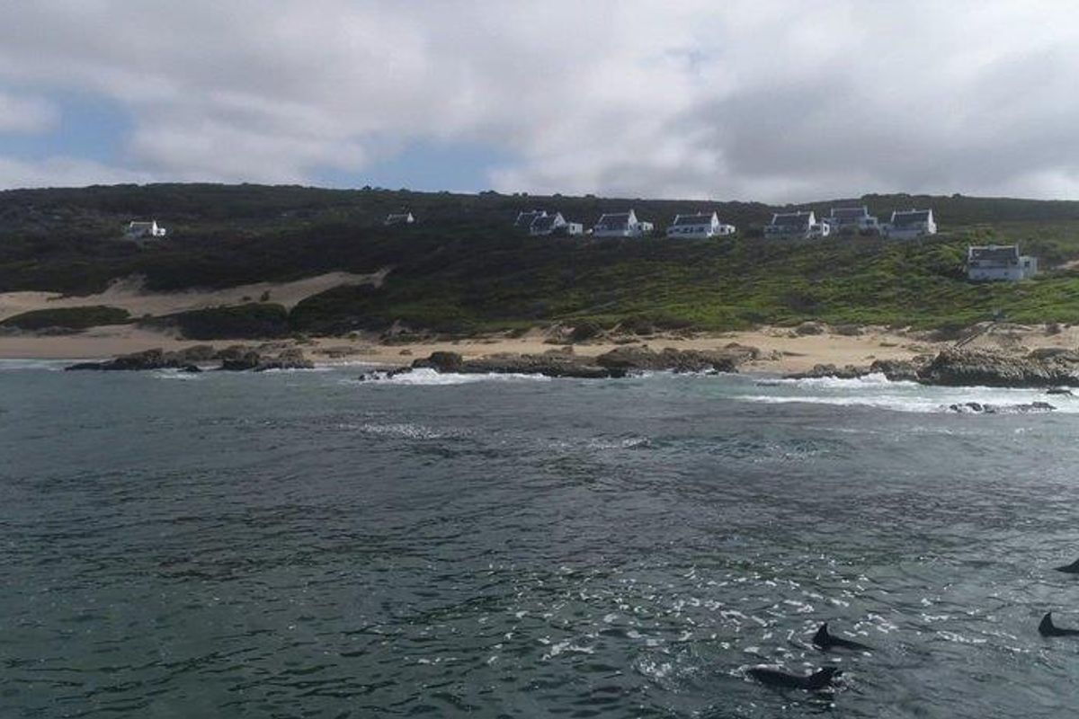 Farm For Sale in Stilbaai Rural, Stilbaai - Photo 2