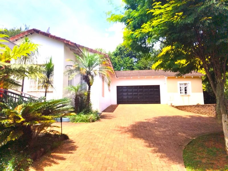 4 BEDROOM HOUSE FOR SALE IN SABIE - Photo 4