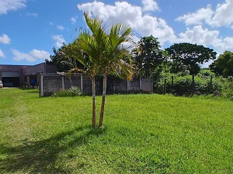 A spacious, level grassed garden area featuring a perimeter boundary wall and mature palm trees, providing ample outdoor space.