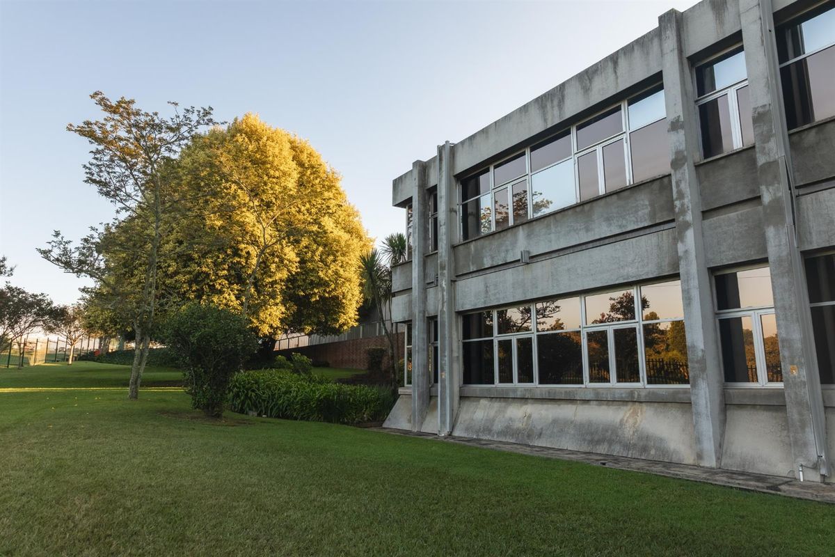 Commercial Office Campus To Let - Greytown, KZN Midlands - Photo 4