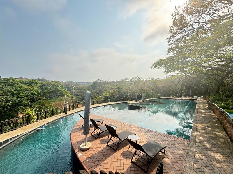 Above the Canopies Live the Elaleni View - Photo 7