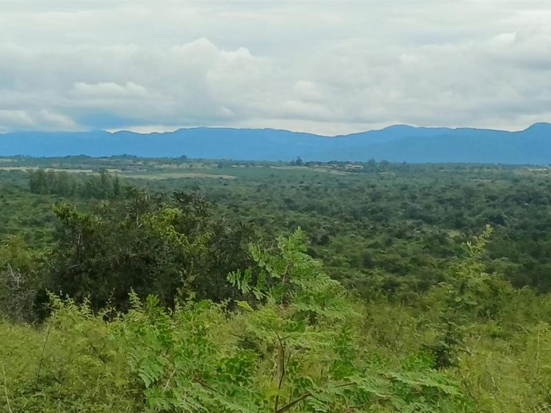Expansive 138ha Farm with Multiple Houses and Renovation Opportunity - Photo 10