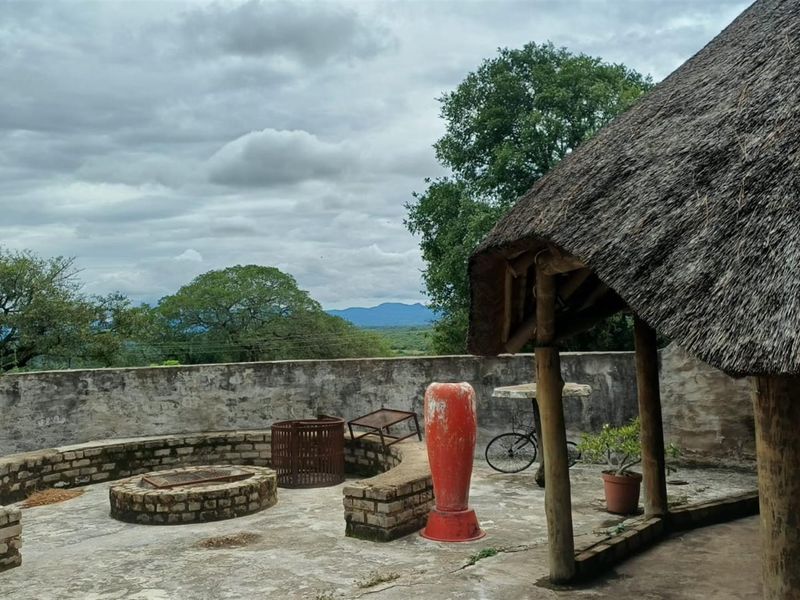 Expansive 138ha Farm with Multiple Houses and Renovation Opportunity - Photo 9