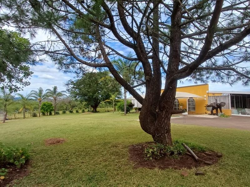 Expansive 138ha Farm with Multiple Houses and Renovation Opportunity - Photo 7