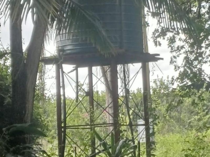 7.0109 ha Smallholding with Family Home, Loft Potential and Established Beaumont Orchard - Photo 10