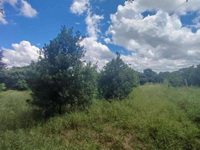 7.0109 ha Smallholding with Family Home, Loft Potential and Established Beaumont Orchard - Photo 8