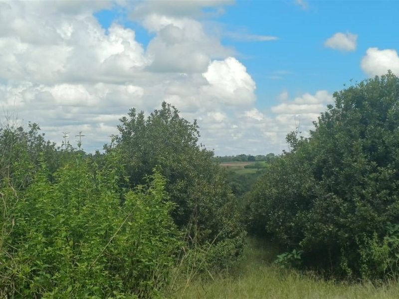 7.0109 ha Smallholding with Family Home, Loft Potential and Established Beaumont Orchard - Photo 5