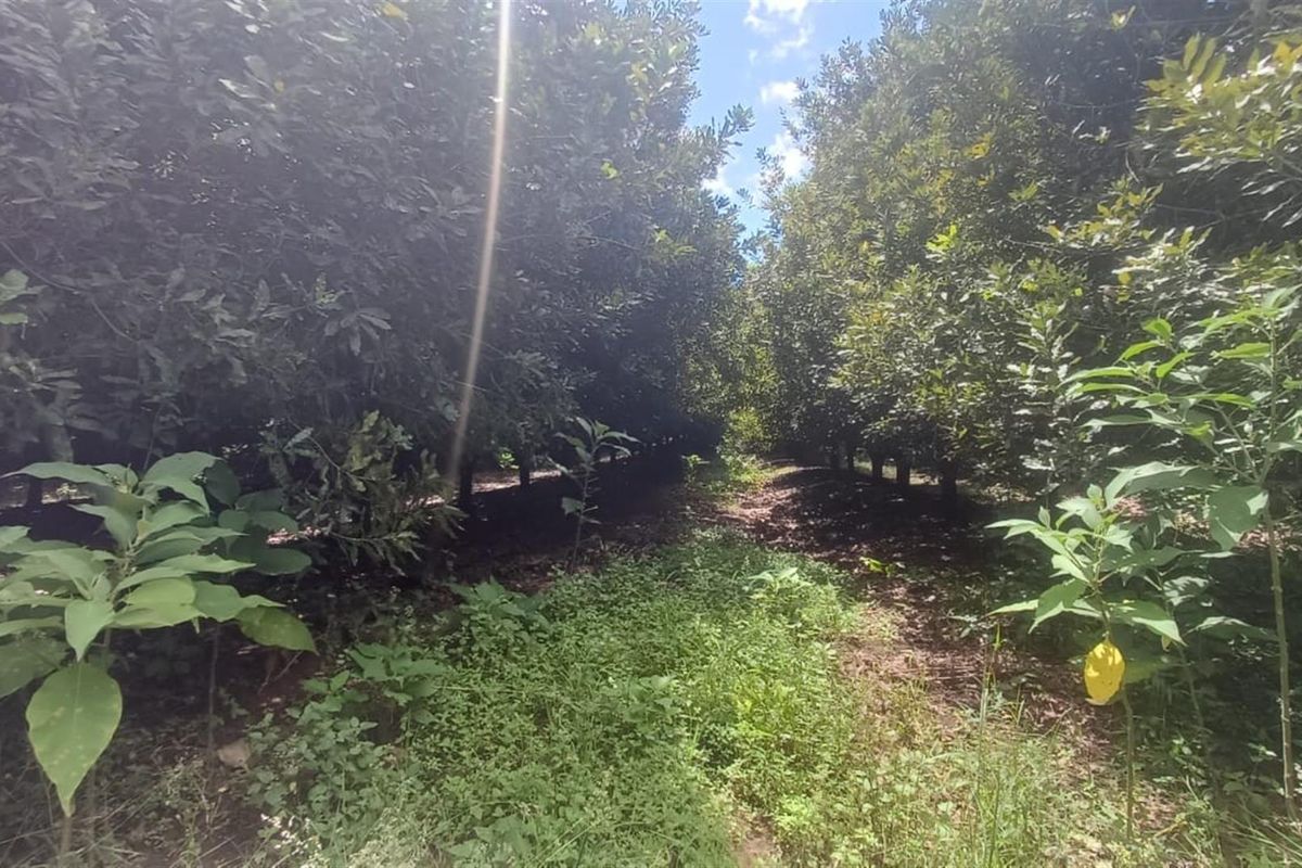 7.0109 ha Smallholding with Family Home, Loft Potential and Established Beaumont Orchard - Photo 3