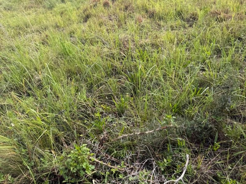 Vacant land for sale at Vryheid - Photo 7