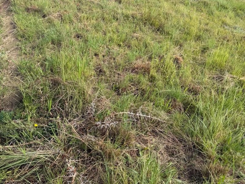 Vacant land for sale at Vryheid - Photo 6