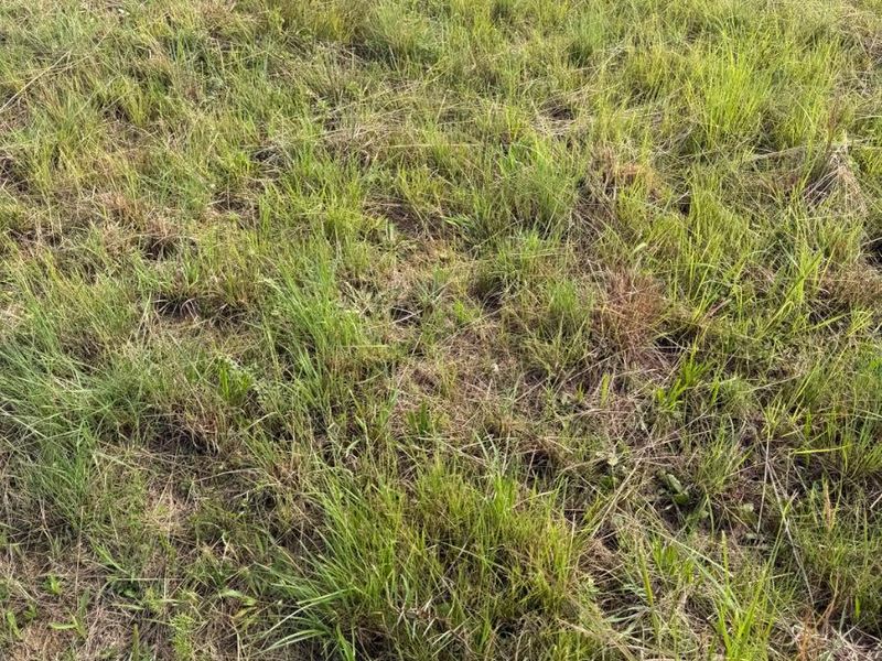 Vacant land for sale at Vryheid - Photo 10