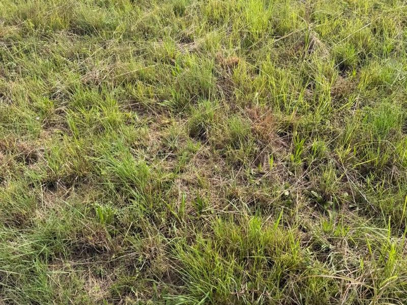 Vacant land for sale at Vryheid - Photo 5