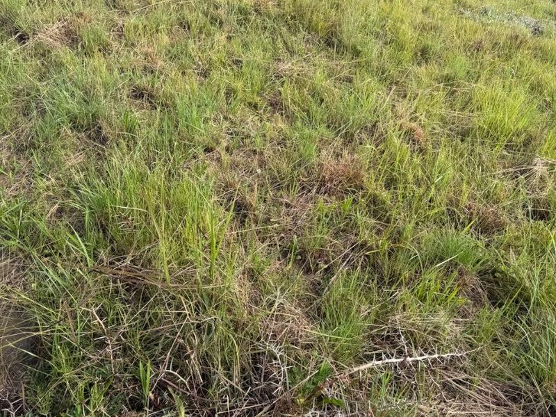 Vacant land for sale at Vryheid - Photo 3