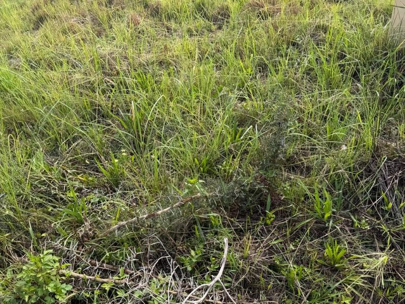 Vacant land for sale at Vryheid - Photo 1