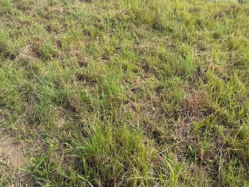 Vacant land for sale at Vryheid - Photo 4