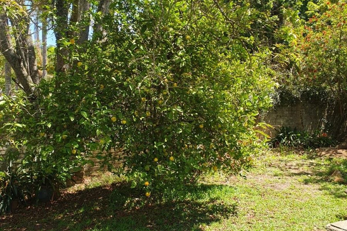 Vacant Land For Sale in Vryheid, KwaZulu Natal - Photo 2