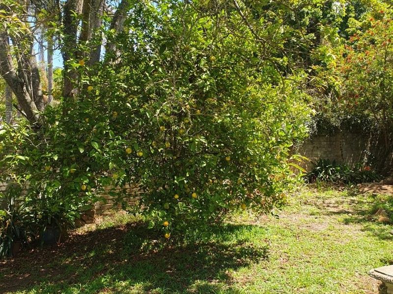 Vacant Land For Sale in Vryheid, KwaZulu Natal - Photo 7