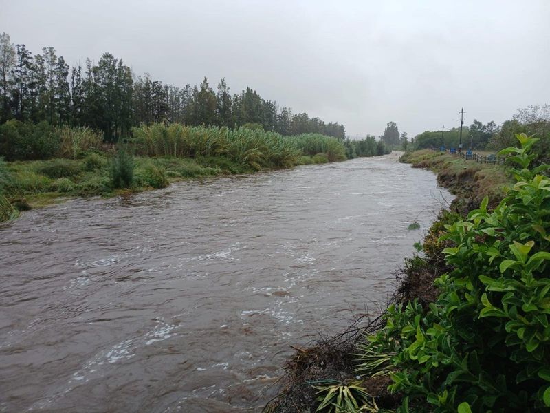 Farm For Sale in Swellendam - Photo 5
