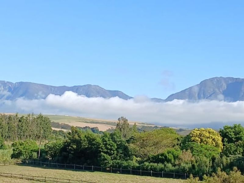 Farm For Sale in Swellendam - Photo 8