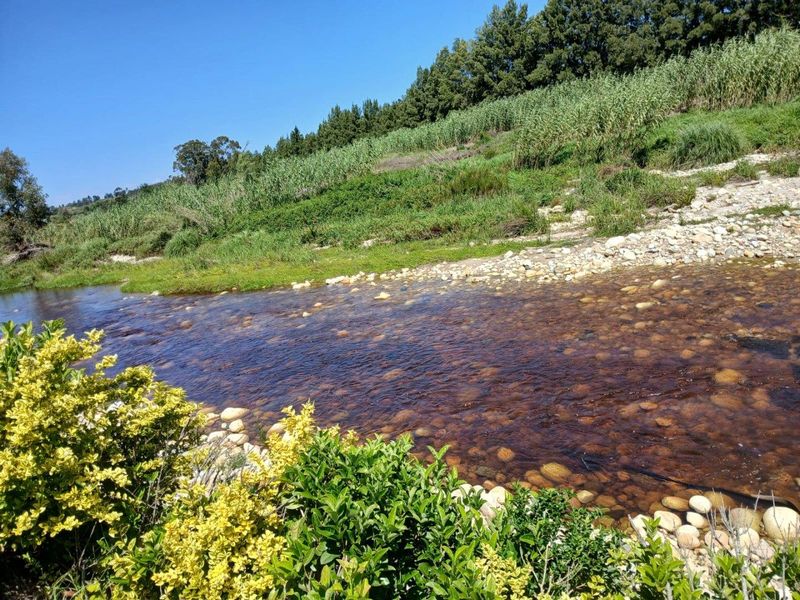 Farm For Sale in Swellendam - Photo 3