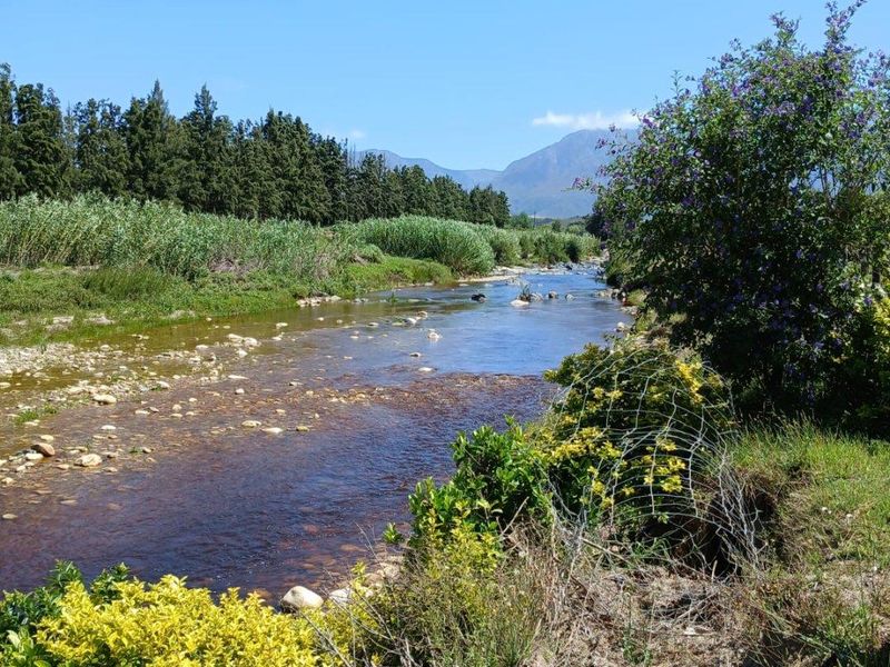Farm For Sale in Swellendam - Photo 4