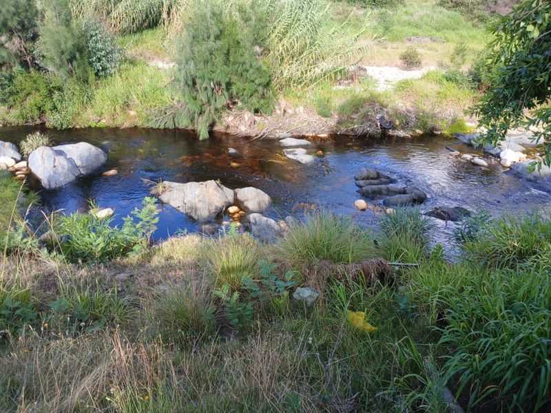 Farm For Sale in Swellendam - Photo 2