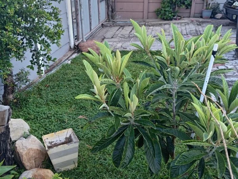 Two Bedroom Home with Separate Two Bedroom Flatlet in Steenberg - Photo 4