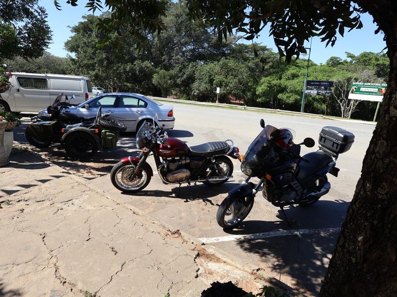An outdoor parking area featuring cracked concrete paving, shaded by mature trees, with a view towards the adjacent road and surrounding greenery.