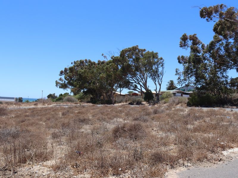 A view of a vacant residential plot featuring dry, overgrown vegetation and mature trees, offering potential for future development.