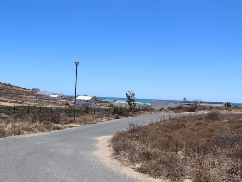 A view of the asphalt street leading through the residential area with surrounding dry vegetation and distant coastal buildings.