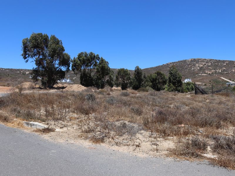 A vacant residential plot featuring natural vegetation, paved road access, and scenic hillside views in a quiet neighborhood setting.
