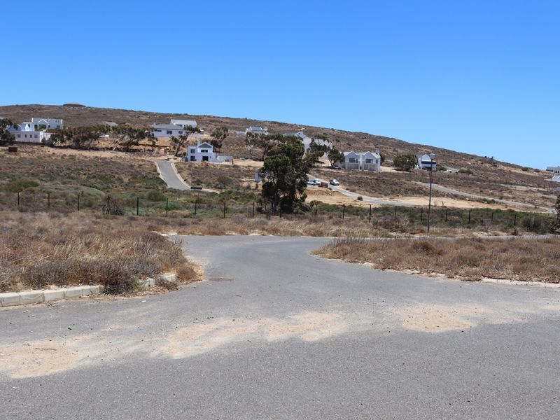 A view of the paved street and surrounding residential landscape in a vacant land development.