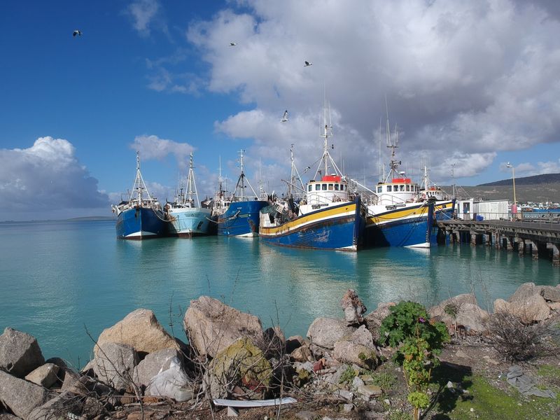 A scenic view of a harbour featuring multiple fishing vessels docked at a jetty.