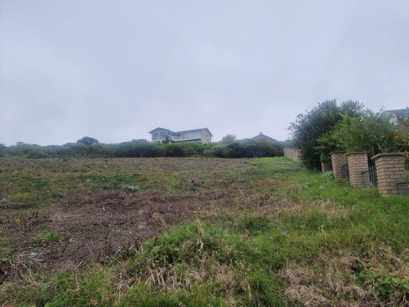 A view of a vacant residential plot featuring a brick boundary wall and natural vegetation, with neighboring properties visible in the background.