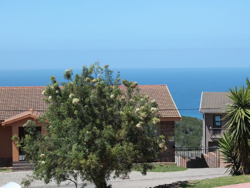 A scenic view of the ocean framed by neighboring residential properties and mature landscaping.