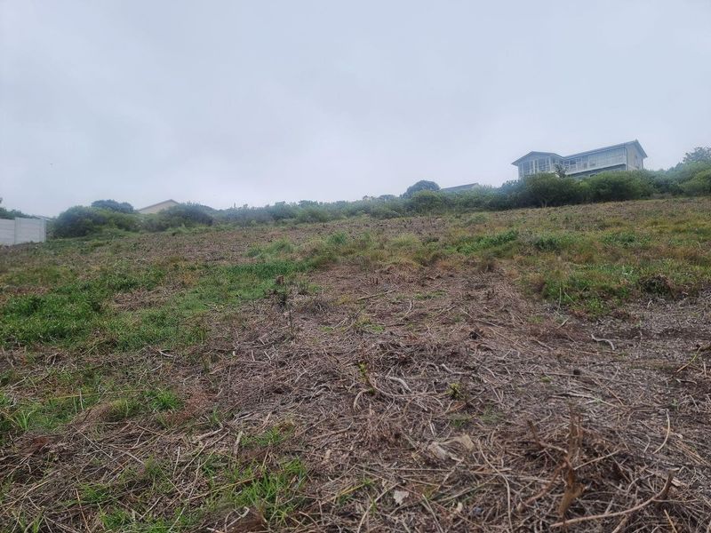A view of a sloped, undeveloped residential plot with natural vegetation and surrounding neighborhood homes in the distance.