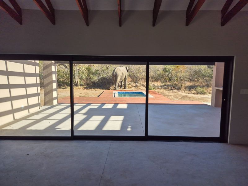 Spacious interior living area featuring exposed timber trusses and large sliding doors opening onto a private deck with a plunge pool and bushveld views.