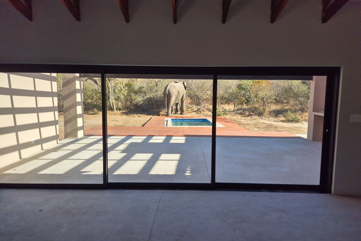 Spacious interior living area featuring exposed timber trusses and large sliding doors opening onto a private deck with a plunge pool and bushveld views.