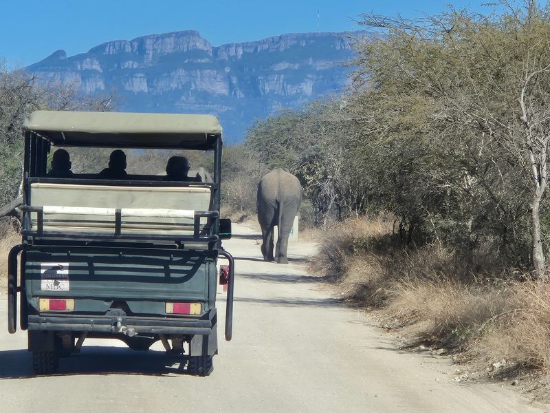 A view of a safari vehicle on a dirt road with a mountain backdrop.